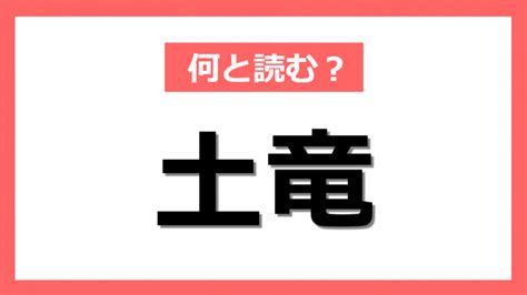 土 龍|知ってる？「土竜」の読み方と言葉の由来｜@DIM